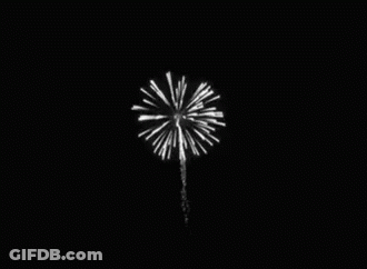 A Black And White Photo Of A Firework Display GIF