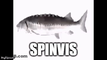 A Black And White Photo Of A Fish With The Name Spinvis Written On It . GIF