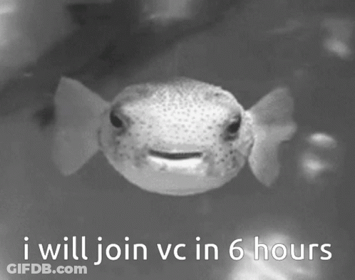 A Black And White Photo Of A Fish With The Words I Will Join Vc In 6 Hours GIF