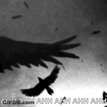 A Black And White Photo Of A Flock Of Birds Flying In The Sky GIF