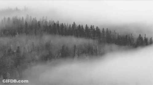A Black And White Photo Of A Foggy Forest In The Mountains GIF