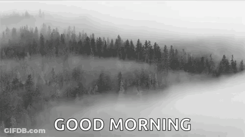 A Black And White Photo Of A Foggy Forest With The Words `` Good Morning '' GIF