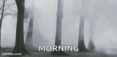 A Black And White Photo Of A Foggy Forest With The Words Morning Written On The Bottom Of The Photo . GIF