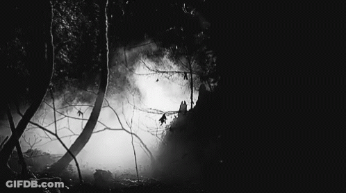 A Black And White Photo Of A Forest At Night With Trees Covered In Fog . GIF