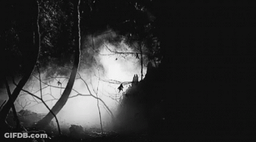 A Black And White Photo Of A Forest At Night With Trees Covered In Fog . GIF