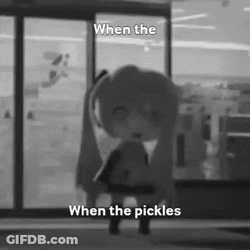 A Black And White Photo Of A Girl Standing In Front Of A Glass Door With The Words `` When The Pickles '' . GIF