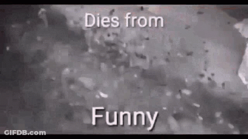 A Black And White Photo Of A Hamburger With The Words `` Dies From Funny '' On It . GIF