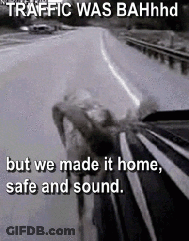 A Black And White Photo Of A Highway With The Caption Traffic Was Bahhhd But We Made It Home Safe And Sound . GIF