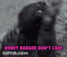 Black And White Honey Badger Don T Care GIF