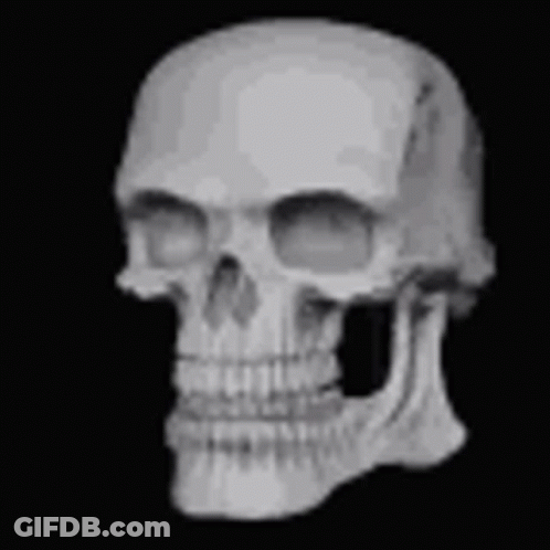 A Black And White Photo Of A Human Skull Without Teeth . GIF