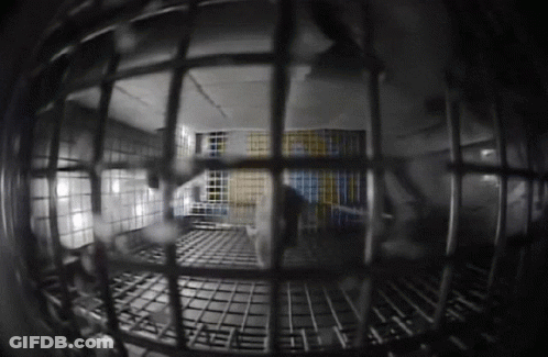 A Black And White Photo Of A Jail Cell With A Yellow And Blue Flag On The Wall GIF