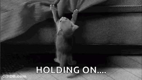 A Black And White Photo Of A Kitten Hanging From A Bed . GIF