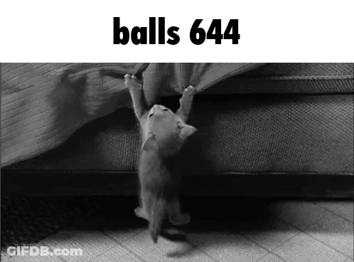 A Black And White Photo Of A Kitten Hanging Upside Down Under A Blanket With The Caption Balls 644 GIF
