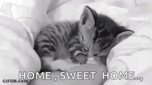 A Black And White Photo Of A Kitten Sleeping On A Bed With The Words `` Home , Sweet Home . '' GIF