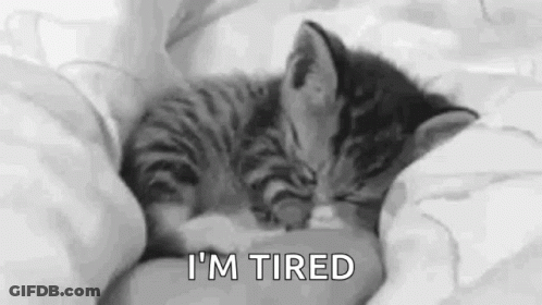 A Black And White Photo Of A Kitten Sleeping On Top Of A Bed . GIF