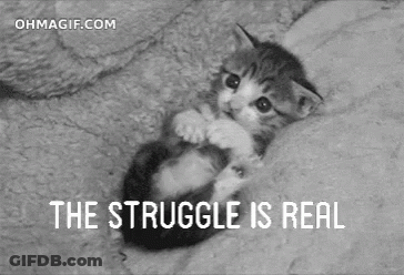 A Black And White Photo Of A Kitten With The Words " The Struggle Is Real " Above It GIF