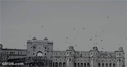A Black And White Photo Of A Large Building With Birds Flying Around GIF
