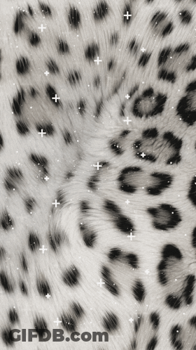 A Black And White Photo Of A Leopard Print With White Sparkles GIF