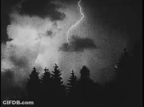 A Black And White Photo Of A Lightning Strike In The Sky Over A Forest . GIF