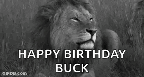 A Black And White Photo Of A Lion With The Words `` Happy Birthday Buck '' Written Above It . GIF