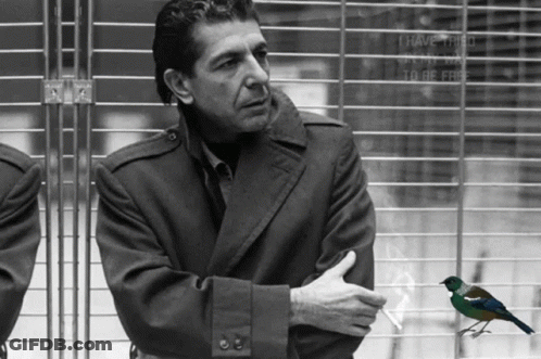 A Black And White Photo Of A Man And A Bird With The Words I Have Tried To Be Free On The Fence Behind Him GIF