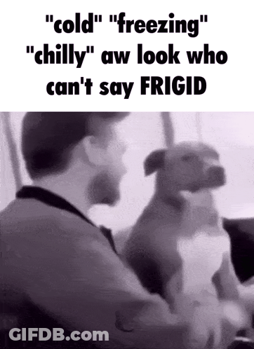 A Black And White Photo Of A Man And A Dog That Says " Cold " GIF