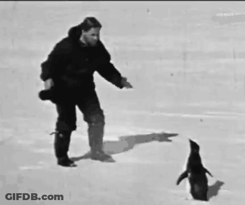 A Black And White Photo Of A Man And A Penguin In The Snow GIF