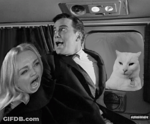A Black And White Photo Of A Man And A Woman With A White Cat In The Back Seat GIF