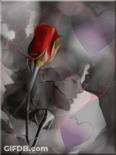 A Black And White Photo Of A Man And Woman Kissing With A Red Rose In The Foreground And The Name Vica On The Bottom GIF