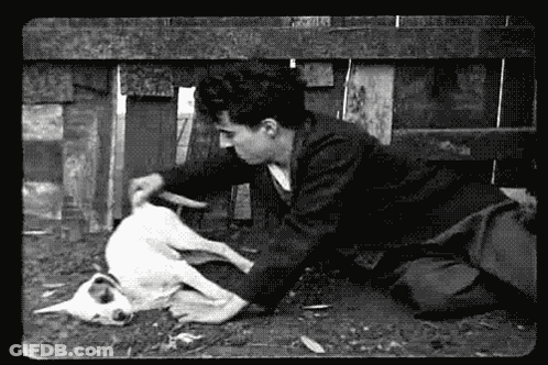 A Black And White Photo Of A Man Playing With A Dog . GIF
