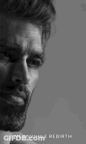 A Black And White Photo Of A Man With A Beard And The Words `` Meanwhile Rebirth '' Written Below Him . GIF