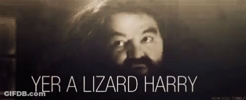 A Black And White Photo Of A Man With A Beard Saying Yer A Lizard Harry . GIF
