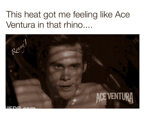 A Black And White Photo Of A Man With The Caption This Heat Got Me Feeling Like Ace Ventura In That Rhino ... GIF