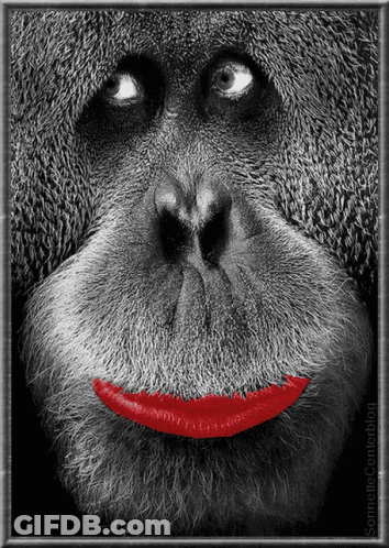 A Black And White Photo Of A Monkey With Red Lipstick On Its Lips GIF