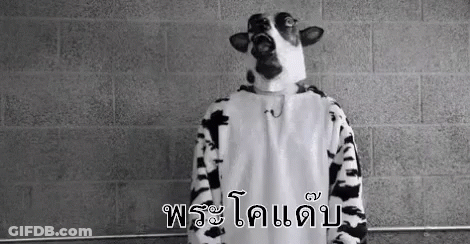 A Black And White Photo Of A Person Dressed As A Cow . GIF