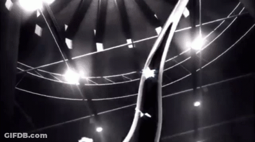 A Black And White Photo Of A Person Hanging From A Rope GIF