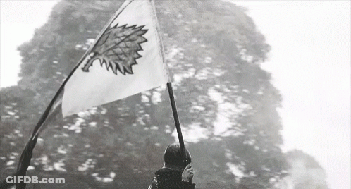 A Black And White Photo Of A Person Holding A Flag With A Wolf On It GIF