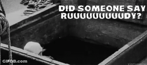 A Black And White Photo Of A Person Laying In A Box With The Words `` Did Someone Say Ruuuuuuudy '' . GIF