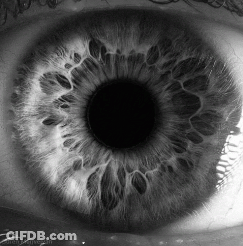 A Black And White Photo Of A Person 'S Eye Taken By Karen Marvelan GIF