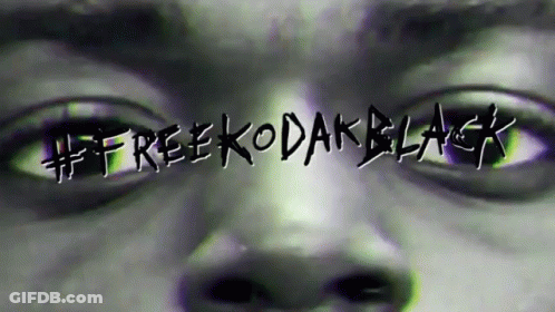 A Black And White Photo Of A Person 'S Eyes With The Words #Free Kodak Black Written Over Them GIF