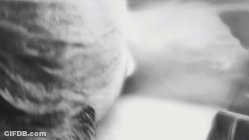 A Black And White Photo Of A Person 'S Face With A Hat On . GIF
