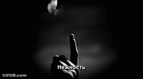 A Black And White Photo Of A Person 'S Finger With A Butterfly On It GIF