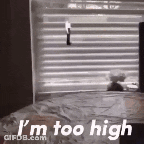 A Black And White Photo Of A Person Standing On A Bed With The Words `` I 'M Too High '' Written On It . GIF