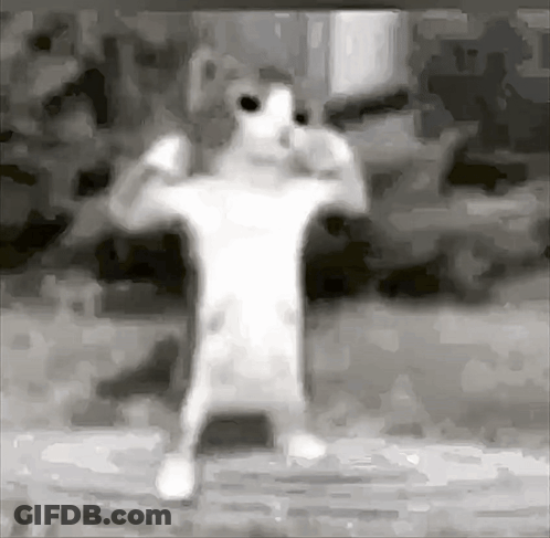 Black And White Photo Of Person Standing With Arms Outstretched GIF
