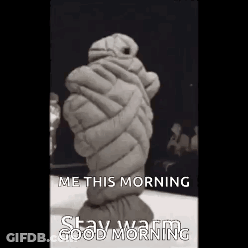 A Black And White Photo Of A Person Wrapped In A Sleeping Bag . GIF