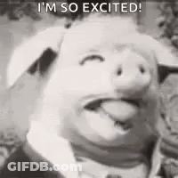 A Black And White Photo Of A Pig Wearing A Suit And Tie With Its Tongue Out . GIF