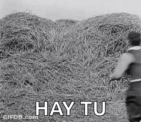 A Black And White Photo Of A Pile Of Hay With The Words `` Hay Tu '' Written On It . GIF