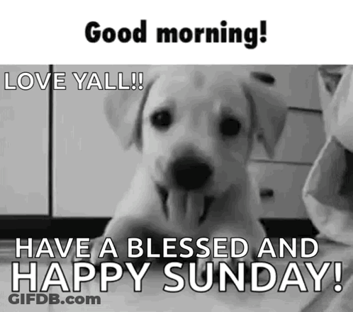 A Black And White Photo Of A Puppy With Its Tongue Hanging Out And The Words `` Good Morning ! Love Yall ! '' GIF