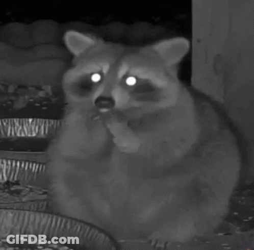 A Black And White Photo Of A Raccoon With Its Eyes Glowing GIF