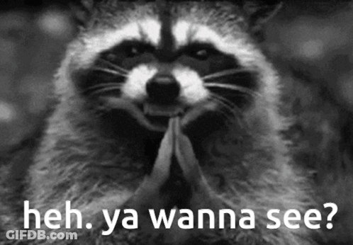 A Black And White Photo Of A Raccoon With The Words `` Heh , Ya Wanna See ? '' Written Below It . GIF